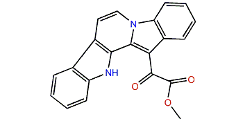 Homofascaplysin B